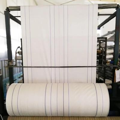 Chine PP FIBC Tissu en rouleau de tissu tissé en polypropylène 50-300GSM Traité UV à vendre