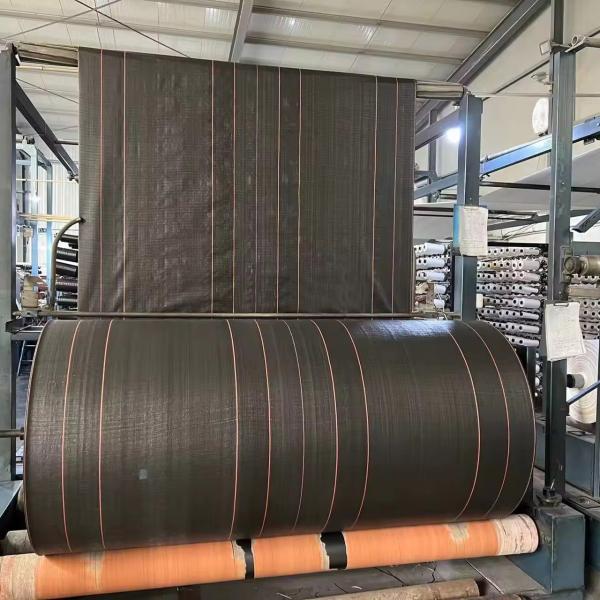 Quality Coated PP Woven Laminated Fabric for sale