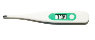 China Professional Testing Digital Clinical Thermometer With 1 Year Warranty for sale