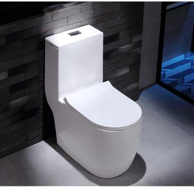 China Dual Flush Washdown Siphonic One Piece Toilet Models P Trap S Trap for sale