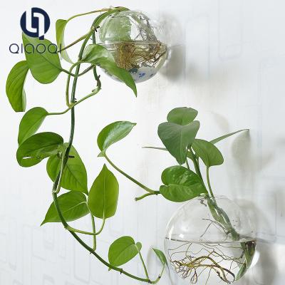 China Borosilicate flower glass vase hanging on the wall for sale