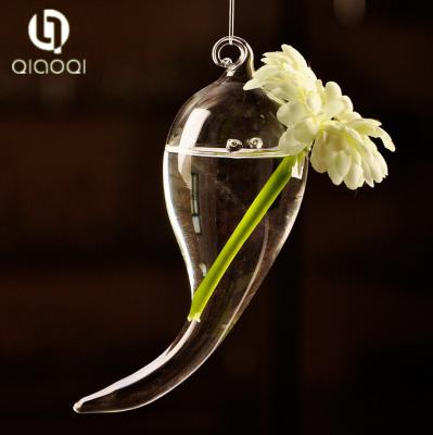 China Home decorative glass flower vase hanging clear glass vase for sale