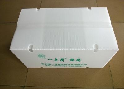 Cina Scatole di plastica pieghevoli con i fori a circolazione d'aria per il trasporto delle verdure in vendita