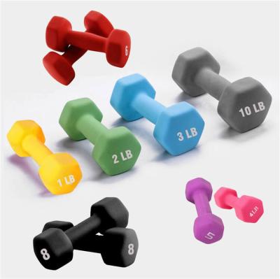 China 10LB Steel Rubber Fitness Dumbbell Hex Dumbbell Hexagon For Gym for sale