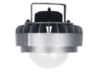 China Warehouse Explosion Proof Drop Light / Explosion Proof Flood Light 80W 100W for sale