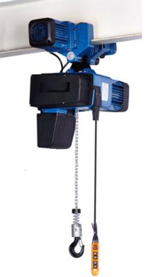 China Durable Electric Chain Fall Hoist With Remote Control Fully Sealed Design for sale