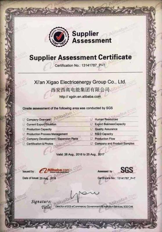 SGS - Xi'an Xigao Electricenergy Group Co., Ltd.