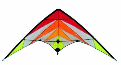 China Special picture polyester delta stunt kite , sports kite ,easy assemble for people for sale