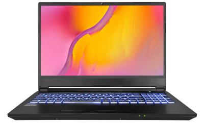 China 15.6inch RTX3060 6GB Dedicated Graphics Card Laptop I7 11800H CPU Colorful Backlit Keyboard for sale