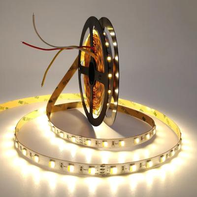 China DC 24V Adjustable Color Temperature LED Strip Flexible 5050 CW WW Dual White for sale