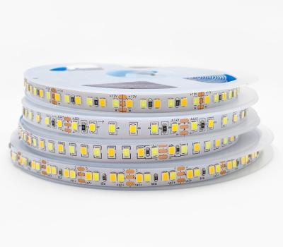 China CCT Double Color Adjustable Color Temperature LED Strip 180LEDs/M For Decorative Lighting for sale