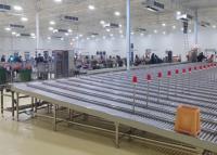Quality Roller Conveyor for sale