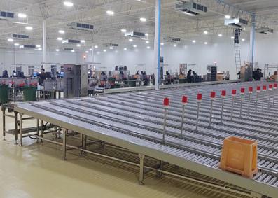 Quality Zzgenerate Motorized Gravity Roller Conveyor for Transporting Boxes for sale