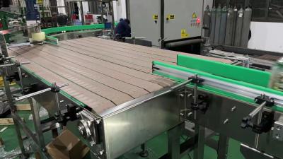 China Zzgenerate Slat Chain Conveyor System Accumulating Table for Cans/Bottles for sale