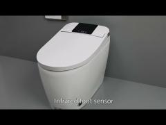 Luxury Bathroom Sensor Electric Automatic Flush Wc Bidet Intelligent Smart Toilet