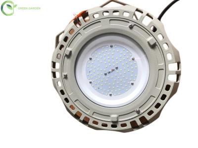 중국 가계 방염 LED 라이트 제조사 Ex 증명 높은 만 방폭 조명 판매용