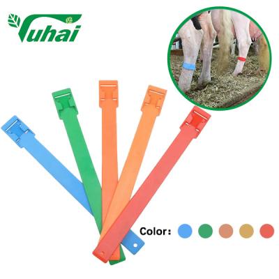 China EVA Livestock Bands Colorful Legband Poly Urethane For Cow Horse Cattle Sheep for sale