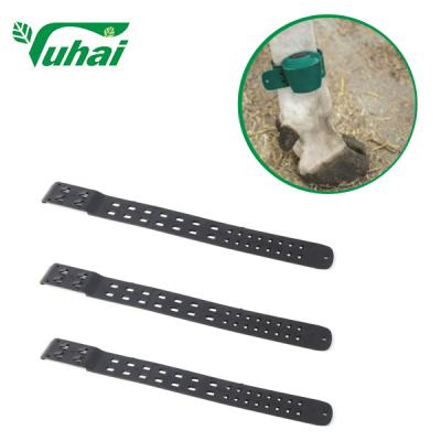 China Black Livestock ID Tags Ankle Strap 35x4cm Ligghtweight Cattle Leg Bands Foot Set for sale
