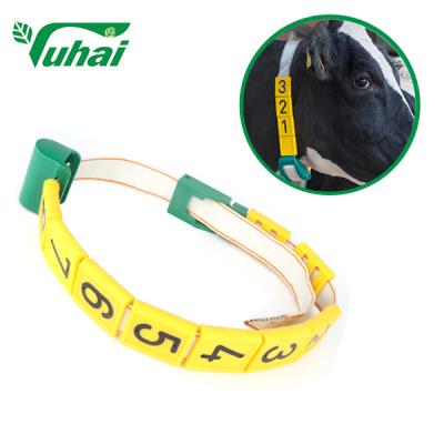 China Banda de identificación de ganado personalizada con placa de número Collar de cuello ajustable en venta