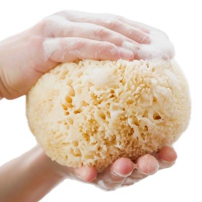 China Natural Children Sponge For Bath Massage Hypoallergenic Unscented With Size Is 9*8*8cm And Weight Is 10 Gram for sale