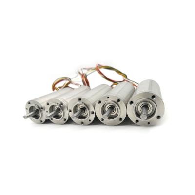 China High Efficiency Long Life Hollow Cup Brushless Motor Low Noise Continuous Work en venta