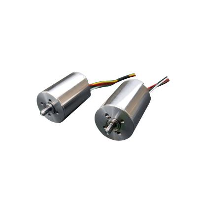 China High Precision Hollow Cup Motor , High Speed Silent Brushless Electric Motor à venda