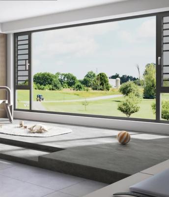Китай Sound And Heat Insulation Windows And Doors Aluminum Profile продается