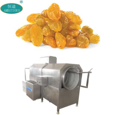 China Snack Plant Drum Water Jet Vegetable and Fruit Washing Machine en venta