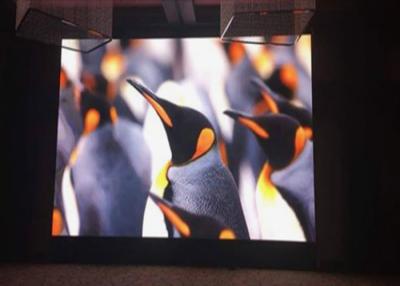 China P1.25 Large Event Led Wall , Indoor Led Video Walls 140° Viewing Angle IP40/IP21 for sale