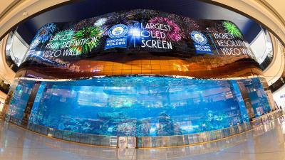 China Soft Ribbon Rubber Flexible LED Display For Any Convex, Concave Or Twisted Installations for sale