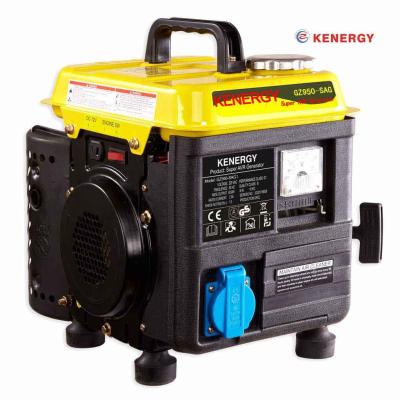 China 800W 230V less gasoline comsumption generator 50HZ 60HZ AVR Variable frequency alternator powered by petrol for sale