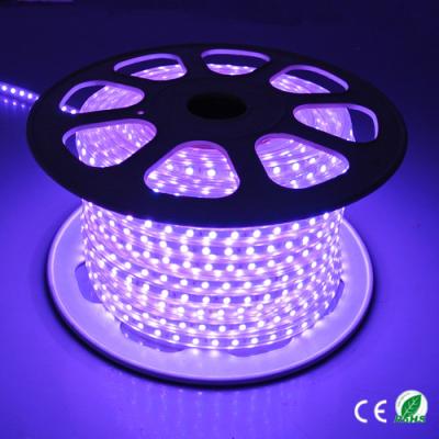 China 220V luz de alto voltaje 60 LED/metro de la cuerda del multicolor LED fácil instalar en venta