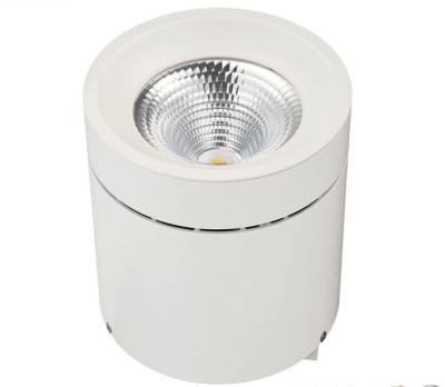 China 20 Watt - 50 Watt LED Surface Mounted Cylinder Downlight With Hanging / Ceiling Installation for sale