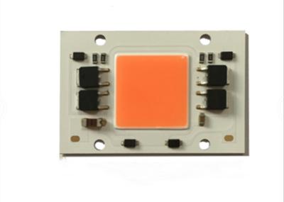 China Factory Price Driverless Full Spectrum Led Chip 100 Watt COB Led For Grow Light for sale