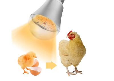 China Chicken Farm Waterproof LED Illumination Lights Dimmable 9W for sale