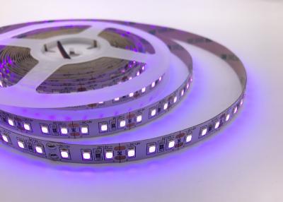 China Tira llevada ultravioleta ultravioleta ULTRAVIOLETA de las luces LED Ip20 365nm 395nm de SMD2835 Blacklight en venta