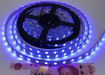 Chine Lumières de bande UV-C de la bande 5050 LED de LED avec 245nm, lumière de bande germicide UV-C de désinfection de 365nm LED à vendre