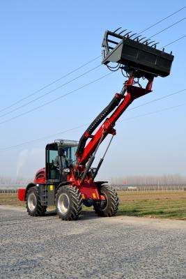 China 3000kgs CE Certificated Telescopic Loader for sale