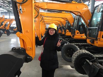 China CE certification 9000kg Crawler & Wheel Excavator Machine With 1 CBM Backhoe Bucket for sale