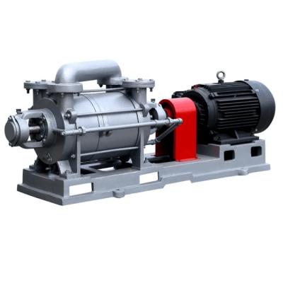 China Double Stage Water Ring Vacuum Pump Explosion Proof For Vacuum Filtering for sale