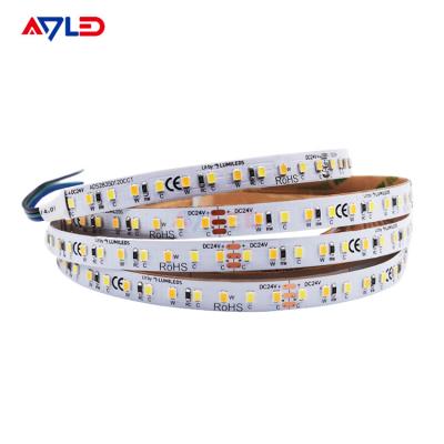 China CCT Tunable Adjustable Led Strip Light WW CW Led Streifen Farbwechsel Dmmbar for sale