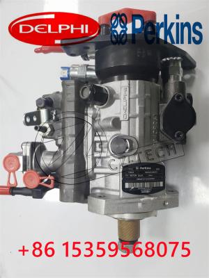 China Motor Delphi combustible Injection Pump 952A383G universal del excavador C6.6 en venta