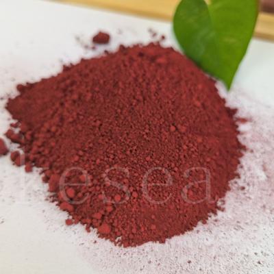 China Anti Rust Red Metal Oxide Primer Paint Fe2o3 for sale