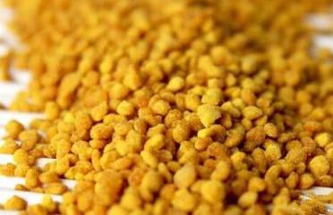 China Corn Pollen, Sorghum flower Pollen, Yellow powder, manufacturer, new resource food for sale