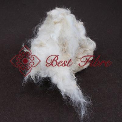 China Sheep wool for sale