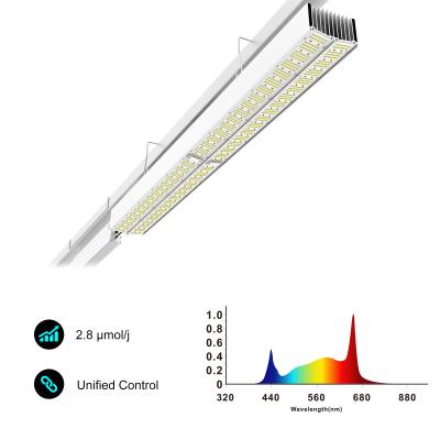 中国 V 形 フルスペクトル LED ライト 商業用温室 補充灯 販売のため