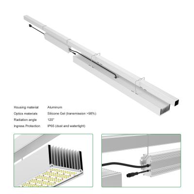 China Commercial Greenhouse Led Grow Light Supplemental Lighting For Hydroponic Systems for sale