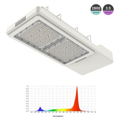 China IP66 Greenhouse Supplemental LED Grow Light Fits Seamlessly In Existing HPS Layouts for sale