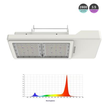 China 1000W HPS Replacement Horticultural LED Grow Light For Indoor  Greenhouse for sale
