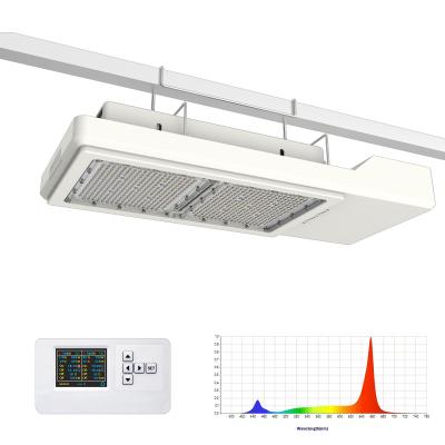 China Plant Horticultural LED Grow Light Solution 800W Max PPF 2200 Umol/S for sale